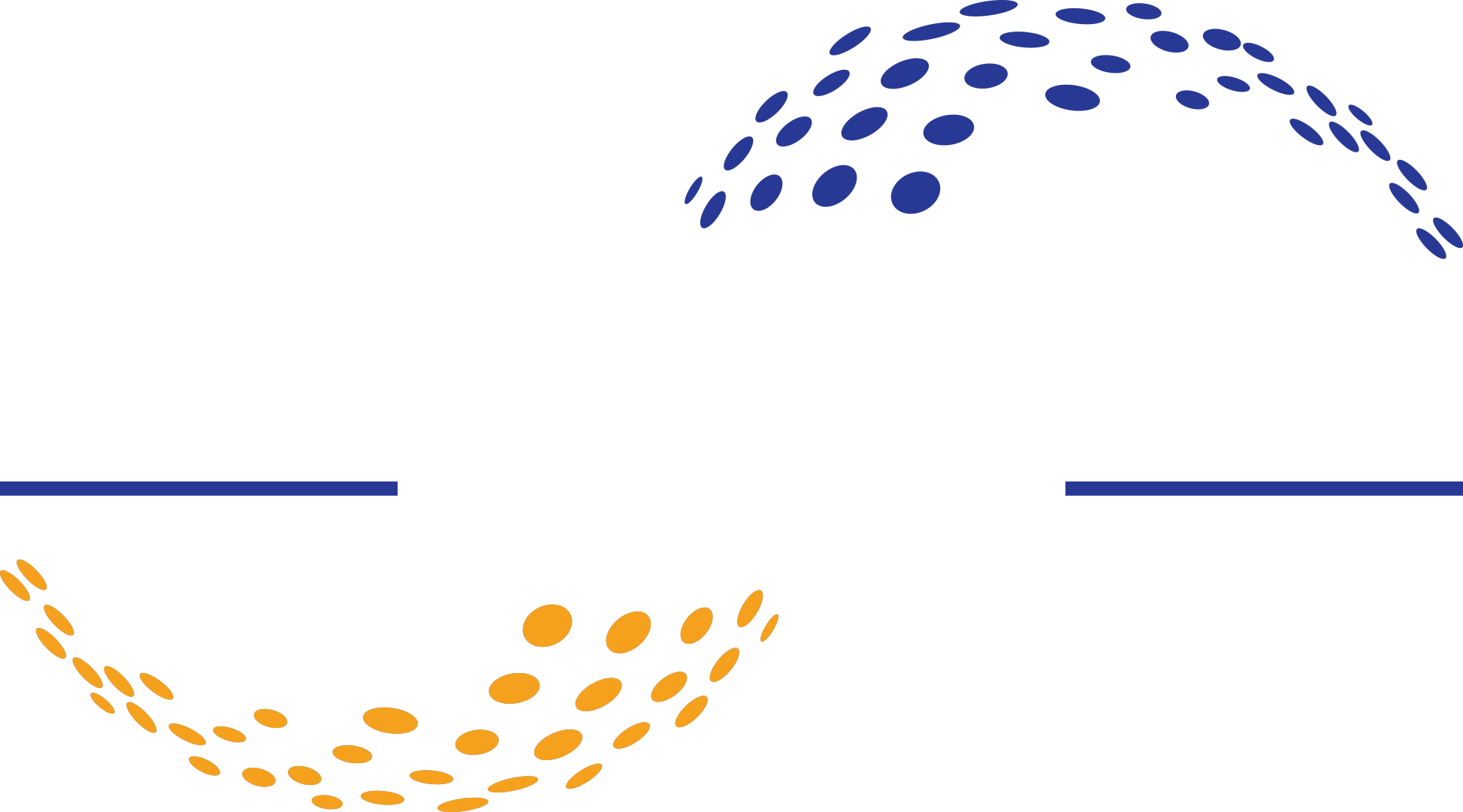 SPEX Telecom Services